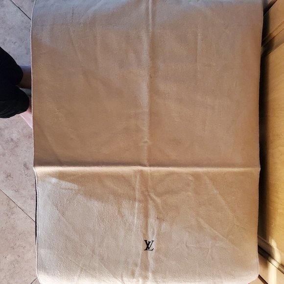 Louis Vuitton Shopping Bag, Box, & Dust Bags - Picture 14 of 16